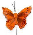 Floristik24 Motyl dekoracyjny na druciku pomarańczowy 8cm 12szt