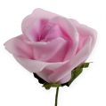 Floristik24 Róża piankowa Ø4.5cm jasnofioletowa 36szt