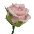 Floristik24 Róża piankowa Ø3,5cm łososiowy róż 30szt.