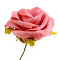 Floristik24 Róża piankowa Ø 8cm różowa 18szt