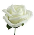 Floristik24 Róża piankowa Ø6cm biała 27szt
