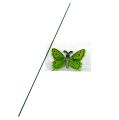 Floristik24 Motyl na patyku 17cm zielony