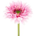 Floristik24 Sztuczne kwiaty ogrodowe Gerbera, różowe, 47 cm, 6 sztuk