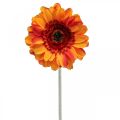 Floristik24 Sztuczny kwiat gerbery, sztuczny kwiat pomarańczy Ø11cm 50cm