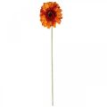 Floristik24 Sztuczny kwiat gerbery, sztuczny kwiat pomarańczy Ø11cm 50cm