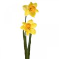 Floristik24 Sztuczne Żonkile Jedwabne Kwiaty Żółte 2 kwiaty 61cm