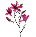 Floristik24 Gałązka magnolii różowa 45cm 4szt.