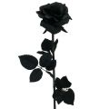 Floristik24 Jedwabny Kwiat Róży Czarny 63cm